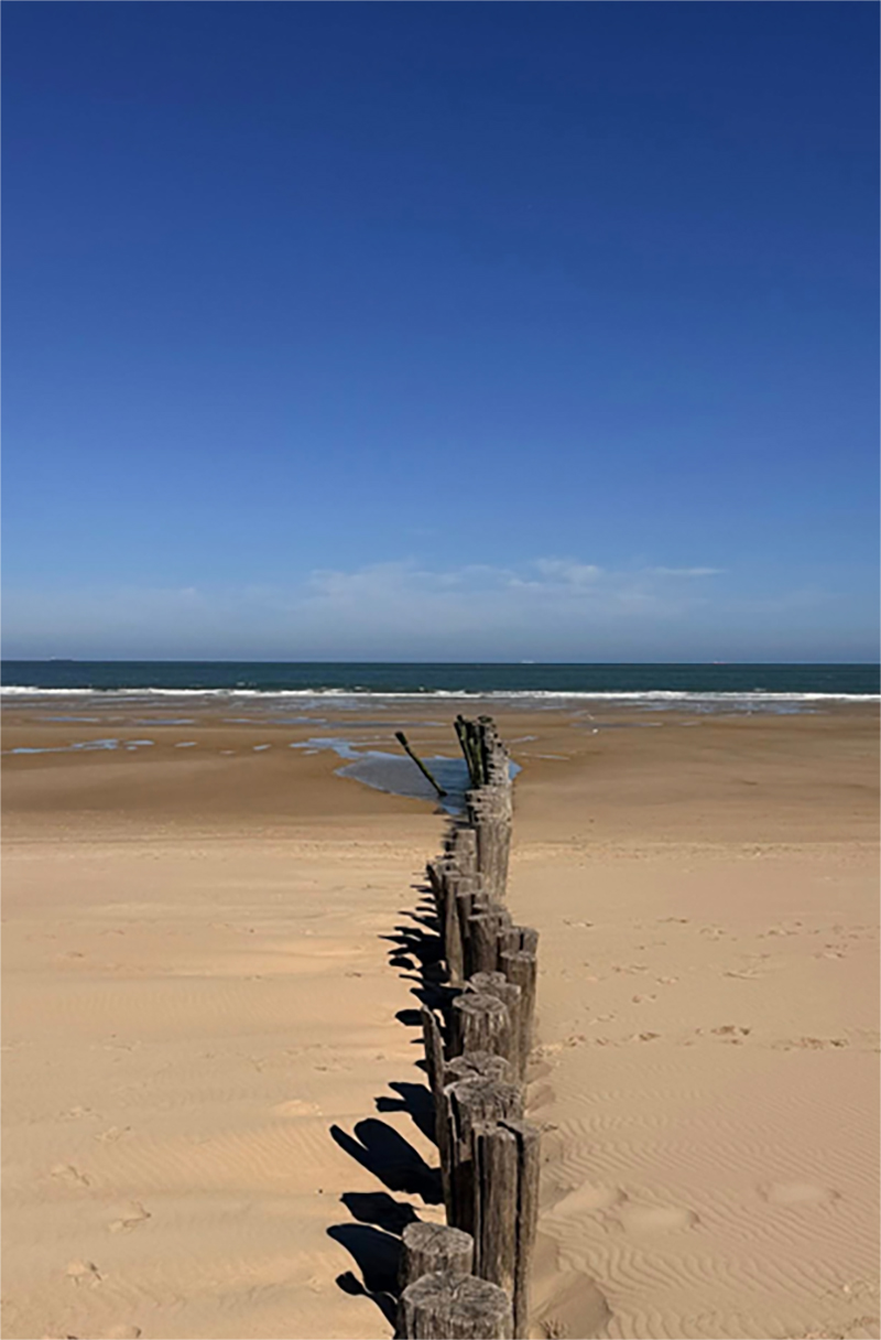Découvrir la plage de Calais